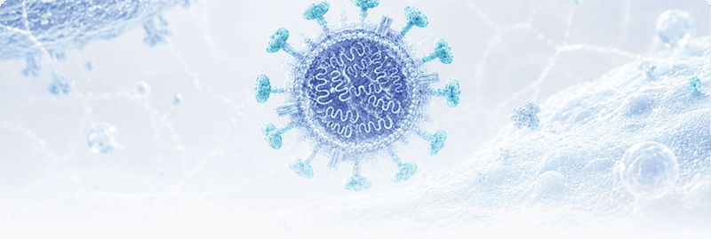 Influenza Virus